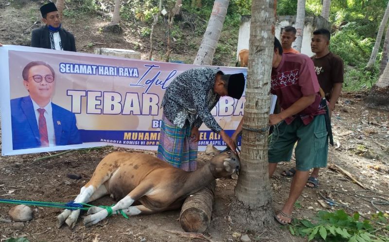 Rapsel Ali Tebar Ribuan Paket Daging Kurban di Dapilnya